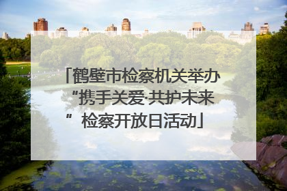 鹤壁市检察机关举办“携手关爱·共护未来”检察开放日活动