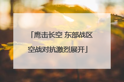鹰击长空 东部战区空战对抗激烈展开