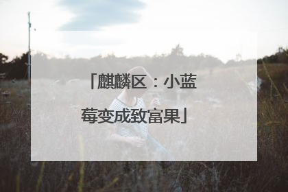 麒麟区：小蓝莓变成致富果