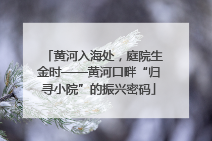 黄河入海处，庭院生金时——黄河口畔“归寻小院”的振兴密码