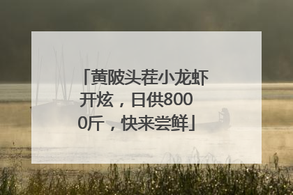 黄陂头茬小龙虾开炫，日供8000斤，快来尝鲜