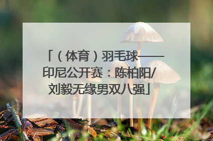 （体育）羽毛球——印尼公开赛：陈柏阳/刘毅无缘男双八强