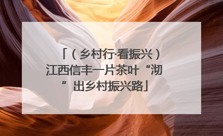 （乡村行·看振兴）江西信丰一片茶叶“沏”出乡村振兴路