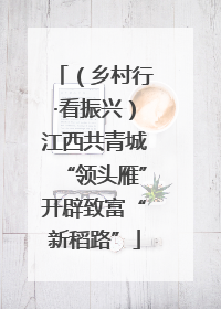 （乡村行·看振兴）江西共青城“领头雁”开辟致富“新稻路”