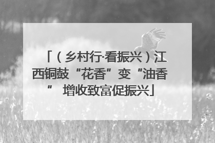 （乡村行·看振兴）江西铜鼓“花香”变“油香” 增收致富促振兴