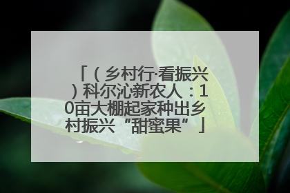 （乡村行·看振兴）科尔沁新农人：10亩大棚起家种出乡村振兴“甜蜜果”