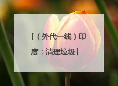 （外代一线）印度：清理垃圾