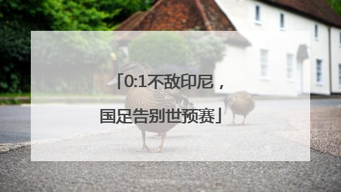 0:1不敌印尼，国足告别世预赛