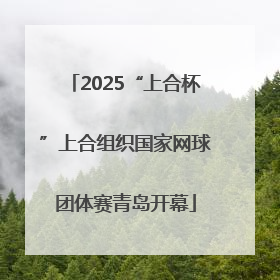 2025“上合杯”上合组织国家网球团体赛青岛开幕