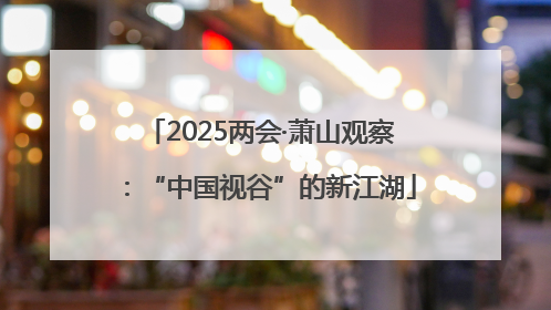 2025两会·萧山观察：“中国视谷”的新江湖