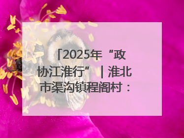 2025年“政协江淮行”｜淮北市渠沟镇程阁村：“生态痛点”变“生态景观”