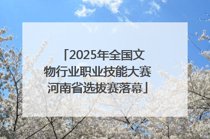 2025年全国文物行业职业技能大赛河南省选拔赛落幕