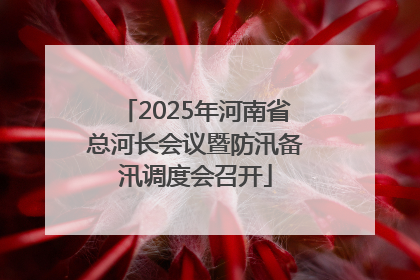 2025年河南省总河长会议暨防汛备汛调度会召开