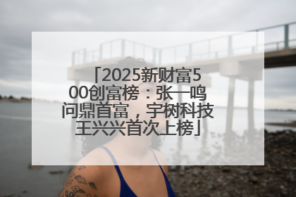 2025新财富500创富榜：张一鸣问鼎首富，宇树科技王兴兴首次上榜
