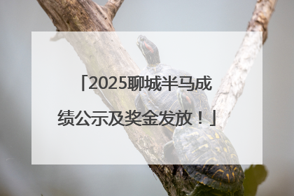 2025聊城半马成绩公示及奖金发放！