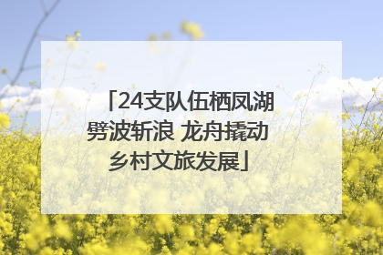 24支队伍栖凤湖劈波斩浪 龙舟撬动乡村文旅发展