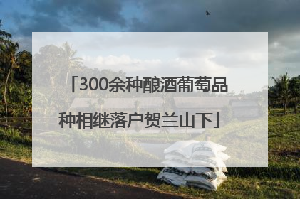300余种酿酒葡萄品种相继落户贺兰山下