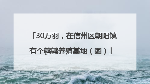 30万羽，在信州区朝阳镇有个鹌鹑养殖基地（图）