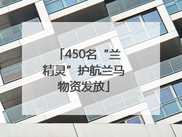 450名“兰精灵”护航兰马物资发放