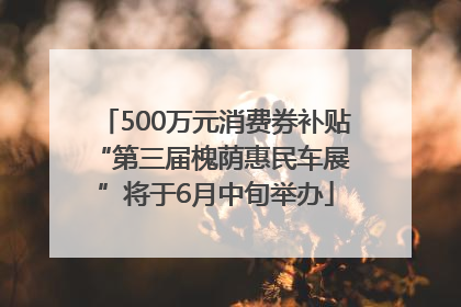 500万元消费券补贴 “第三届槐荫惠民车展”将于6月中旬举办