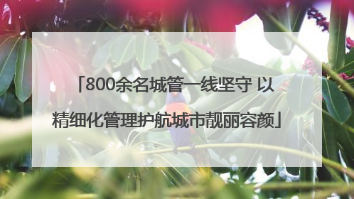 800余名城管一线坚守 以精细化管理护航城市靓丽容颜