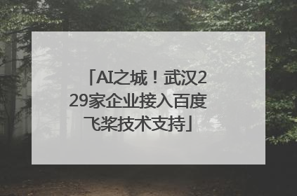 AI之城！武汉229家企业接入百度飞桨技术支持