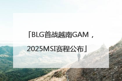 BLG首战越南GAM，2025MSI赛程公布