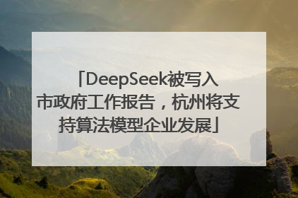 DeepSeek被写入市政府工作报告，杭州将支持算法模型企业发展