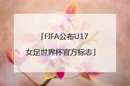FIFA公布U17女足世界杯官方标志